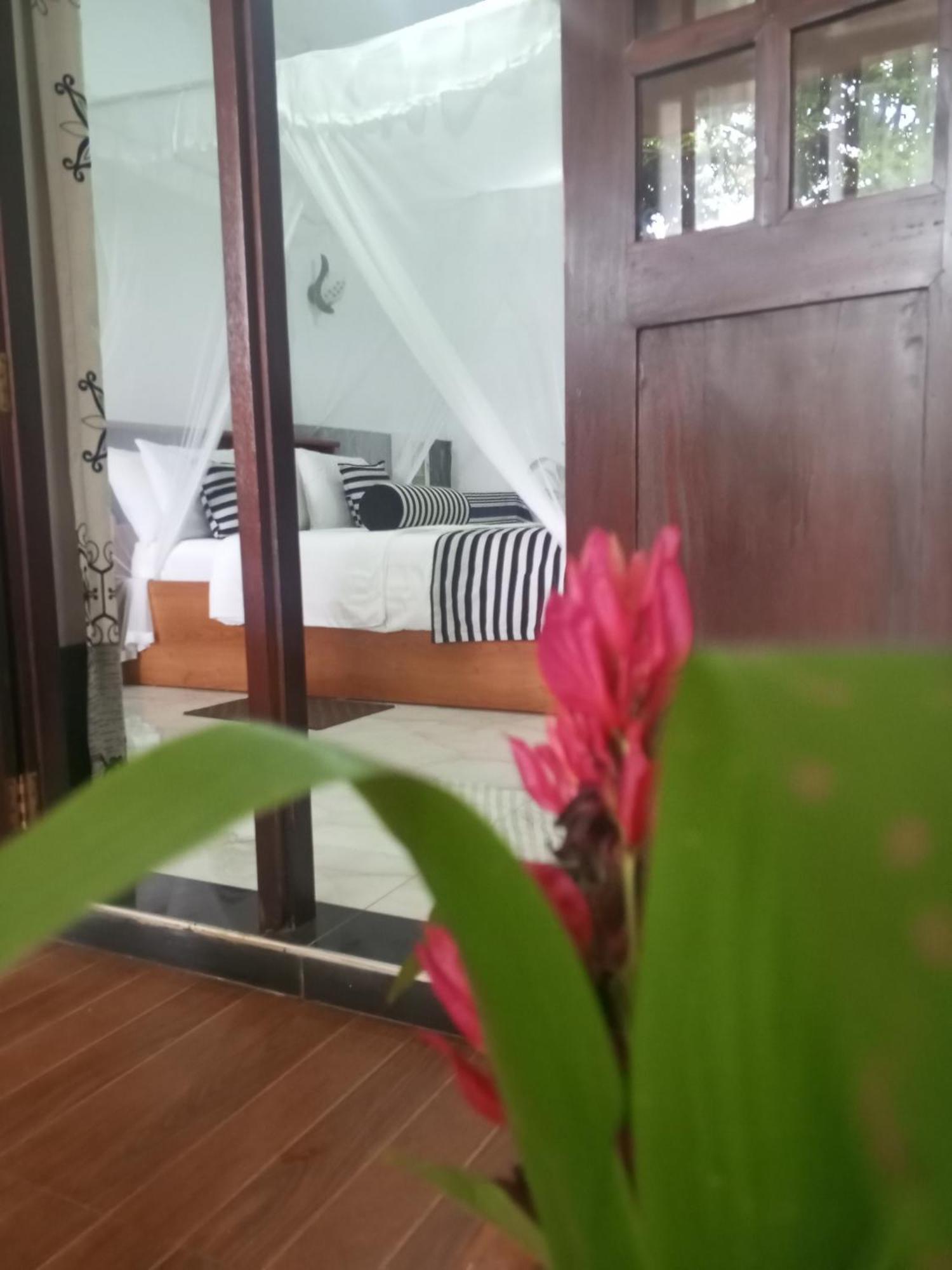 The Dream Resort Ела Екстериор снимка
